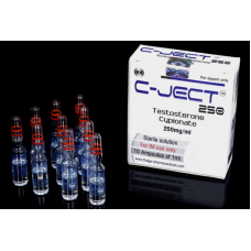 Thaiger Pharma Cject250 - Testosterone Cypionat 250mg 10 Ampul